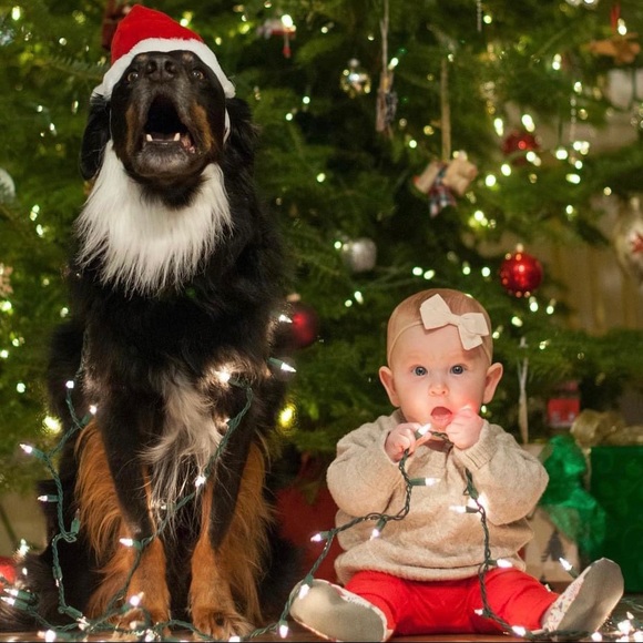 Meet your Posher, Jessica - Picture 3 of 8